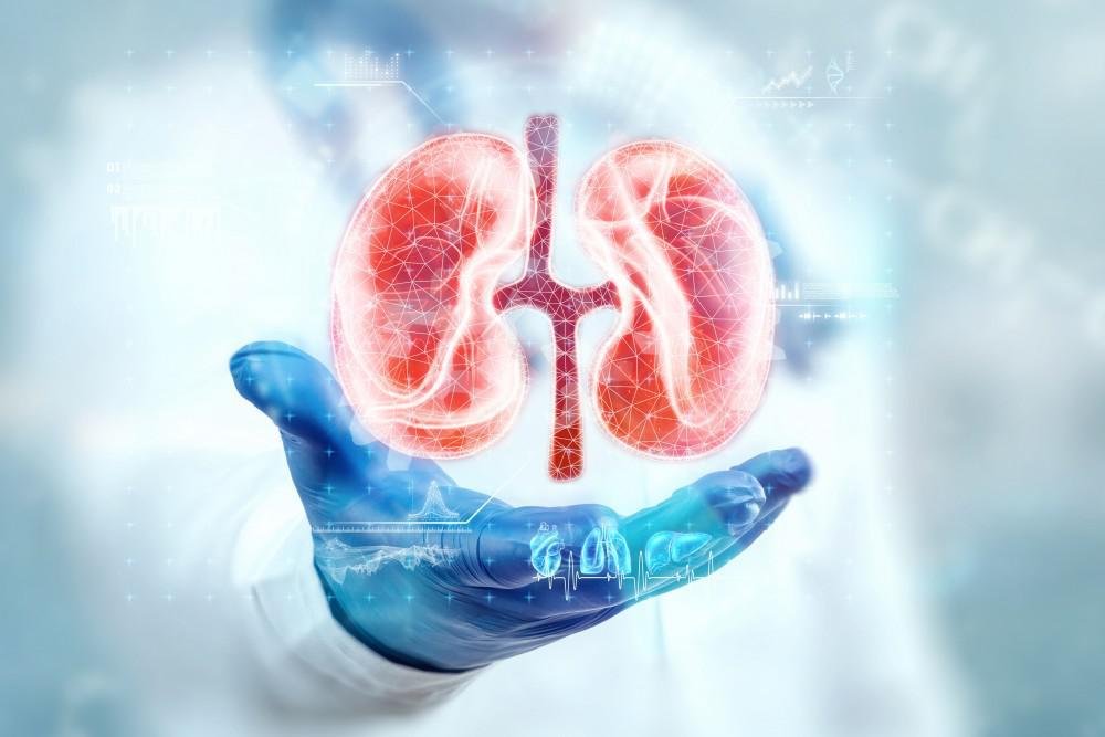 urology surgeon in dubai